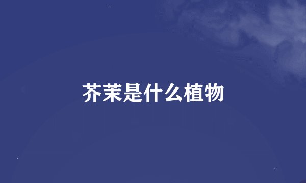 芥茉是什么植物