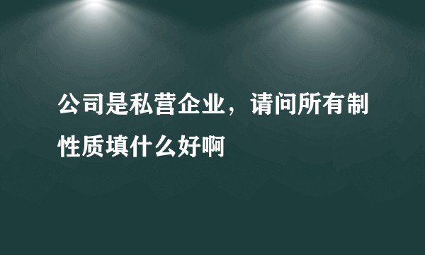 公司是私营企业,请问所有制性质填什么好啊