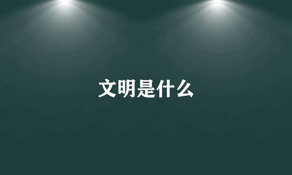 文明是什么