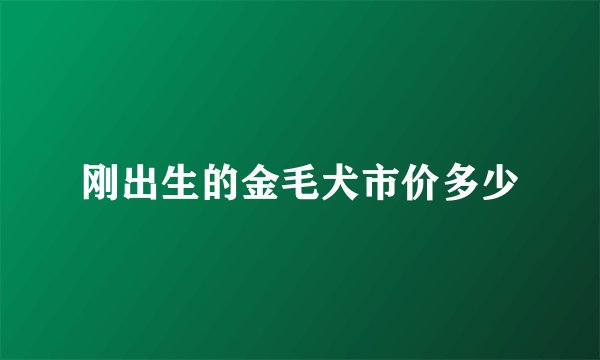 刚出生的金毛犬市价多少