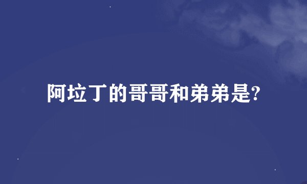 阿垃丁的哥哥和弟弟是?