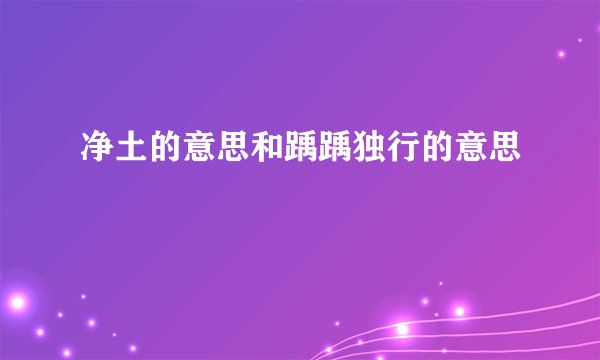 净土的意思和踽踽独行的意思