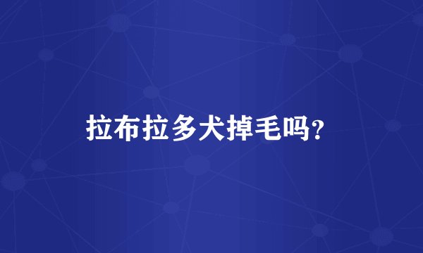 拉布拉多犬掉毛吗？