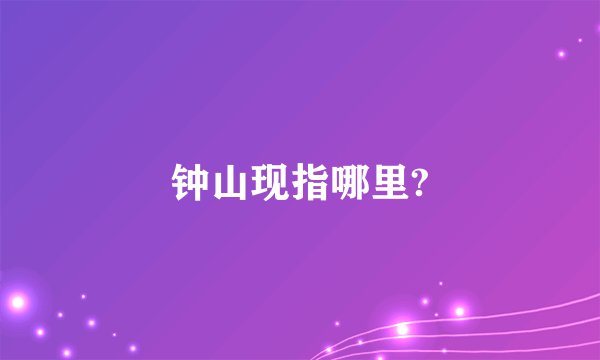 钟山现指哪里?