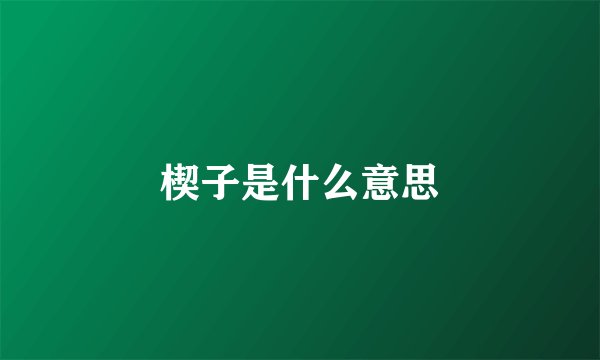 楔子是什么意思