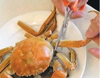 螃蟹的吃法剥法图解