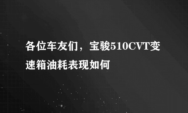 各位车友们，宝骏510CVT变速箱油耗表现如何