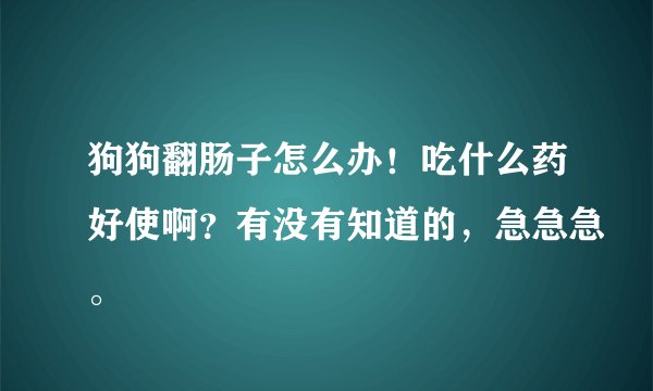 狗狗翻肠子怎么办！吃什么药好使啊？有没有知道的，急急急。