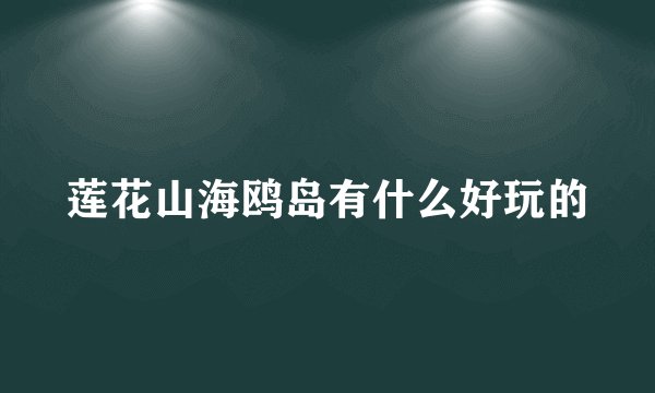 莲花山海鸥岛有什么好玩的