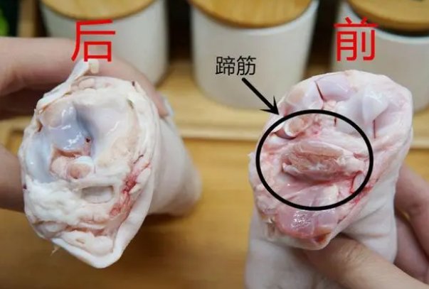 怎么区分猪前蹄和后蹄