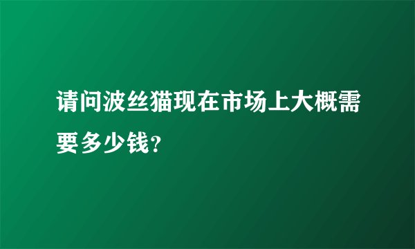请问波丝猫现在市场上大概需要多少钱？