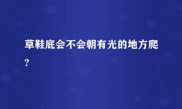 草鞋底会不会朝有光的地方爬?