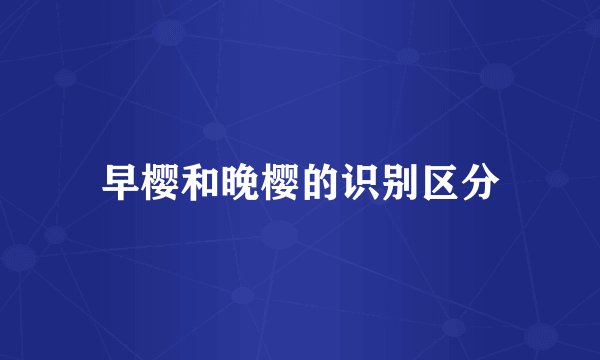 早樱和晚樱的识别区分