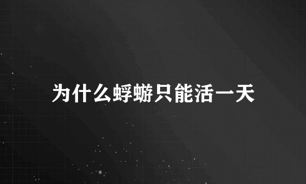 为什么蜉蝣只能活一天