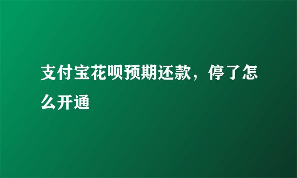 支付宝花呗预期还款，停了怎么开通