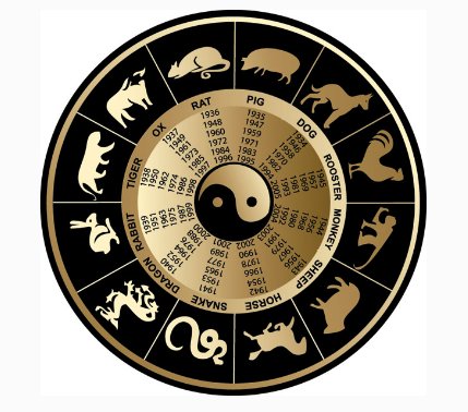 十二生肖怎么读?