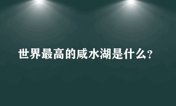 世界最高的咸水湖是什么？