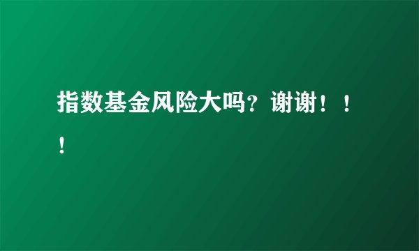 指数基金风险大吗？谢谢！！！