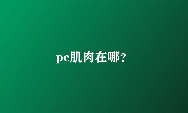 pc肌肉在哪？