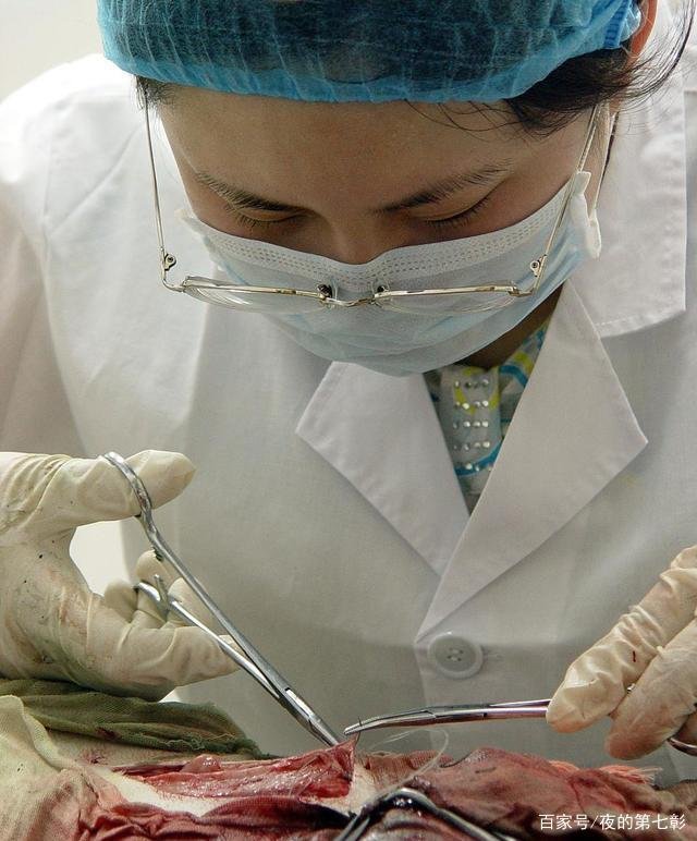 临床医学和基础医学哪个更好？哪个学习难度更高？