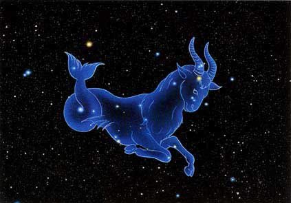 摩羯座惧怕哪个星座?
