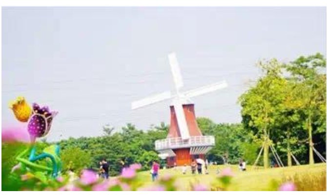 求深圳免费景点好玩排名,有哪些值得去?