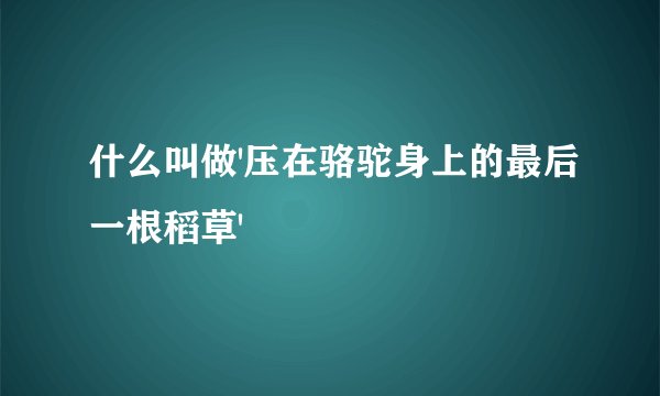 什么叫做'压在骆驼身上的最后一根稻草'