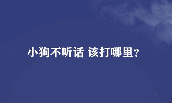 小狗不听话 该打哪里？