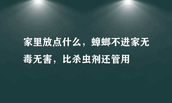 家里放点什么,蟑螂不进家无毒无害,比杀虫剂还管用