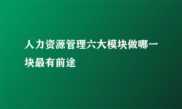人力资源管理六大模块做哪一块最有前途