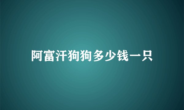 阿富汗狗狗多少钱一只