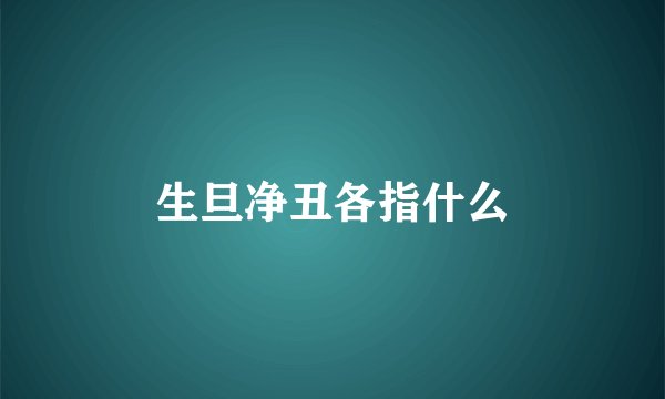 生旦净丑各指什么