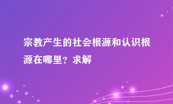宗教产生的社会根源和认识根源在哪里？求解