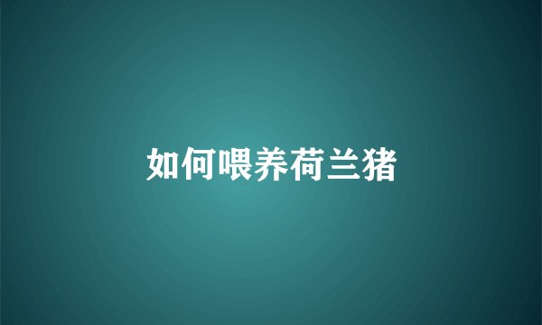 如何喂养荷兰猪