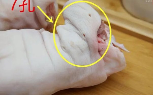 怎么区分猪前蹄和后蹄