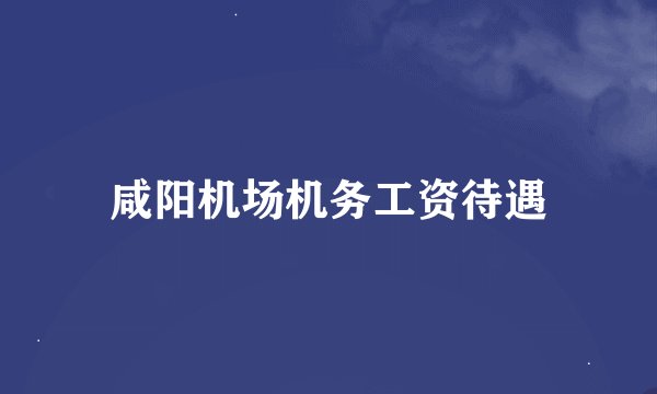 咸阳机场机务工资待遇