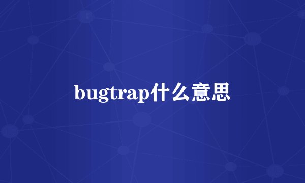 bugtrap什么意思