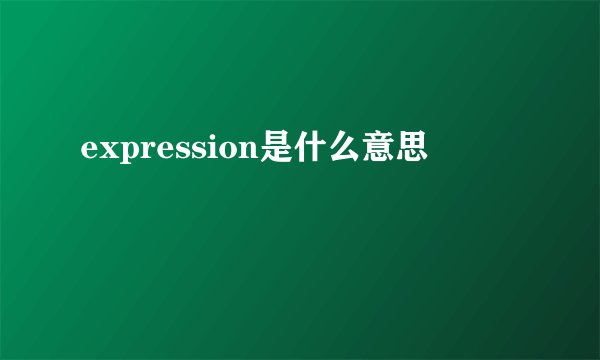 expression是什么意思