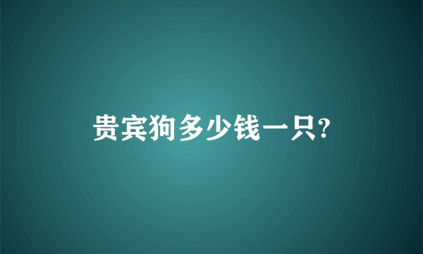 贵宾狗多少钱一只?