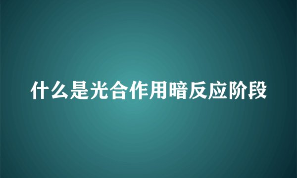 什么是光合作用暗反应阶段