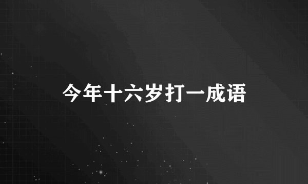 今年十六岁打一成语