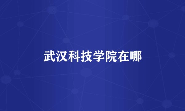 武汉科技学院在哪