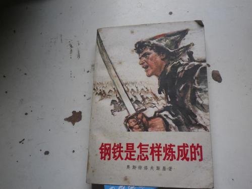 钢铁是怎样炼成的,主要人物介绍
