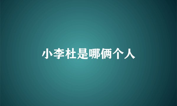小李杜是哪俩个人