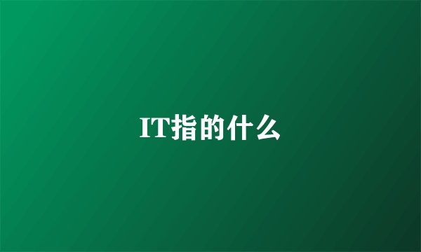 IT指的什么