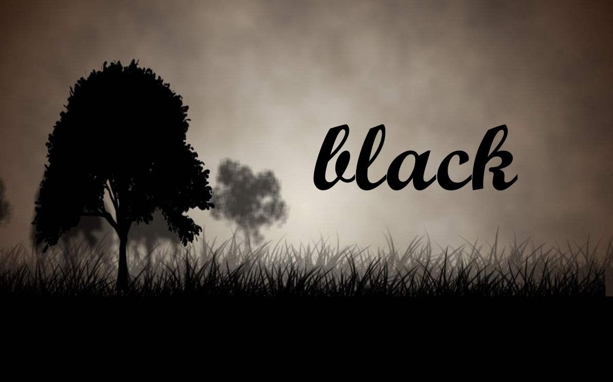 Black,翻译成中文是什么意思?