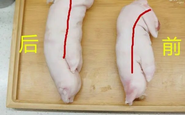 怎么区分猪前蹄和后蹄