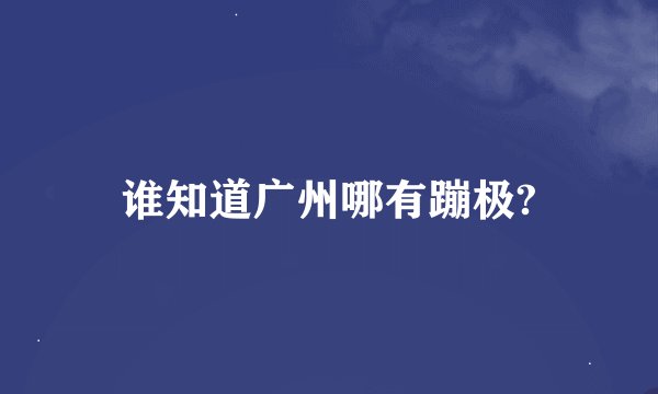 谁知道广州哪有蹦极?