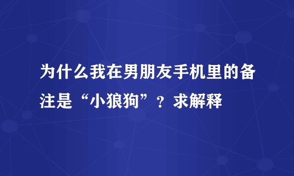 为什么我在男朋友手机里的备注是“小狼狗”？求解释