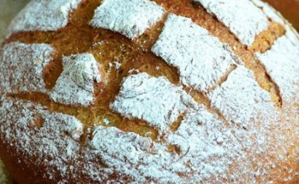 bread什么意思